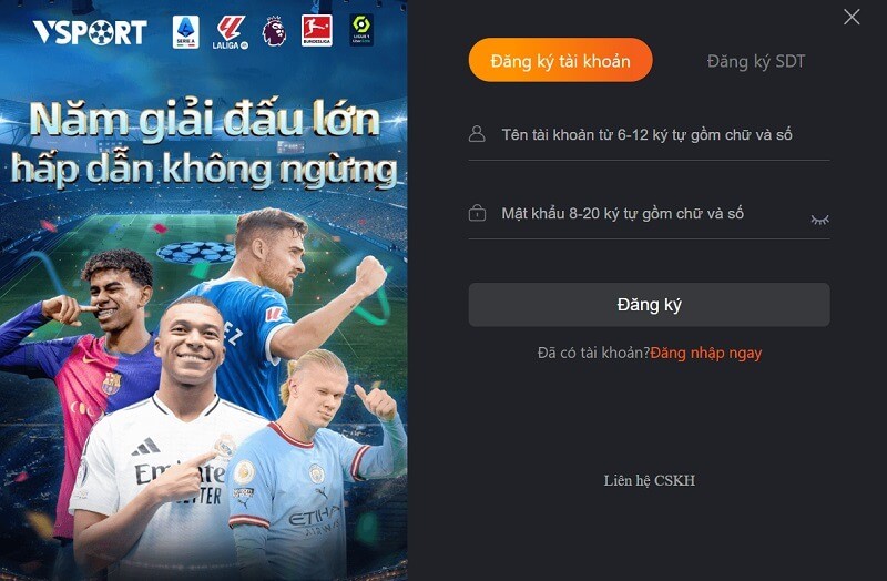 Điền đầy đủ thông tin đăng ký Vsports theo biểu mẫu