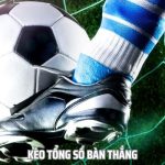 Cách đọc kèo tổng số bàn thắng chuẩn xác cho người mới