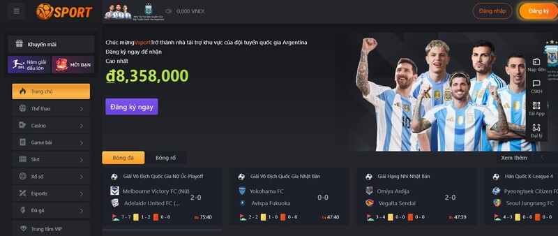 Một số thông tin giới thiệu nhà cái cá cược Vsports